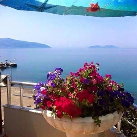 Vlora Apartments Экстерьер фото