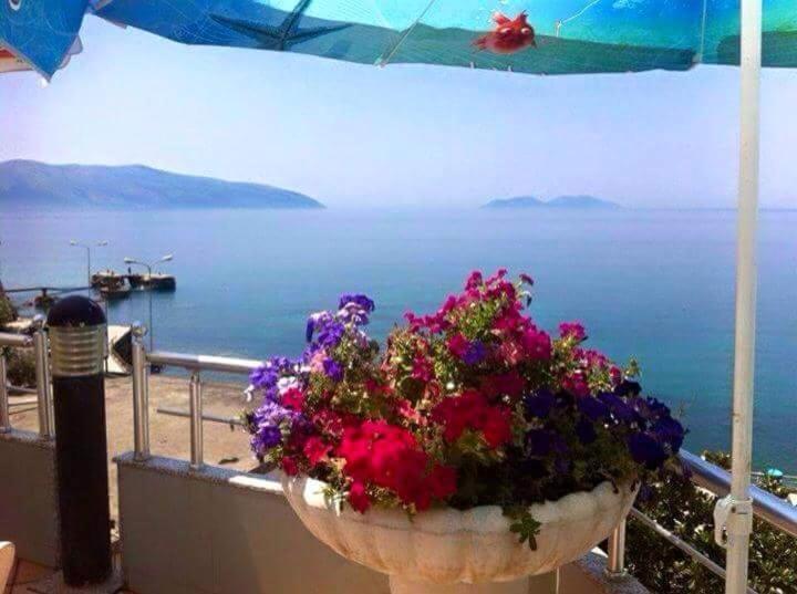 Vlora Apartments Экстерьер фото